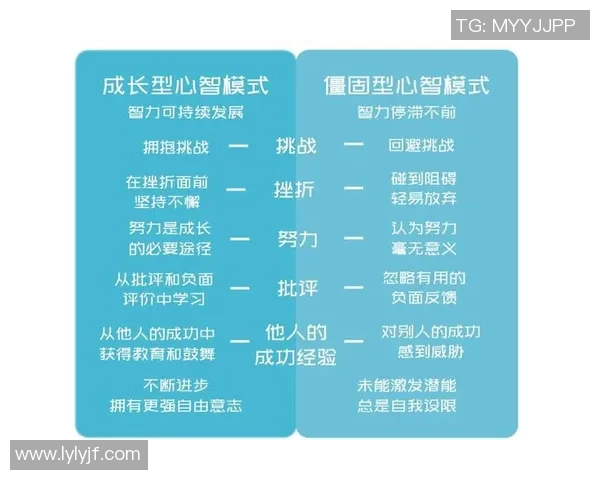 《通过深度访谈揭秘成功背后的故事与思维方式》