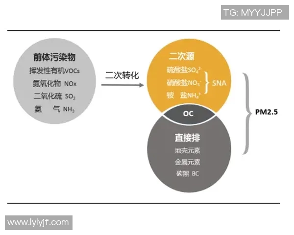 深入探讨上海足球队技术表现的数据分析与战术优化研究